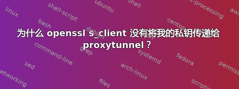 为什么 openssl s_client 没有将我的私钥传递给 proxytunnel？