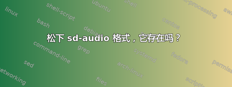 松下 sd-audio 格式，它存在吗？