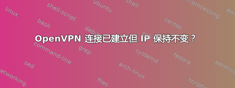 OpenVPN 连接已建立但 IP 保持不变？