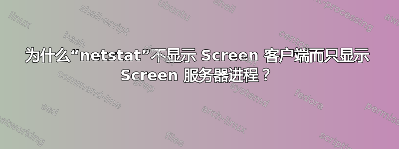 为什么“netstat”不显示 Screen 客户端而只显示 Screen 服务器进程？