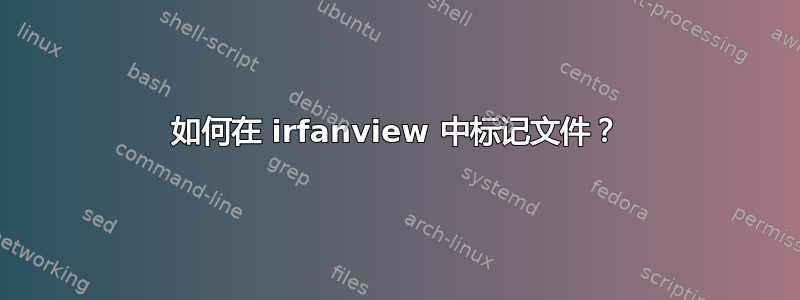 如何在 irfanview 中标记文件？