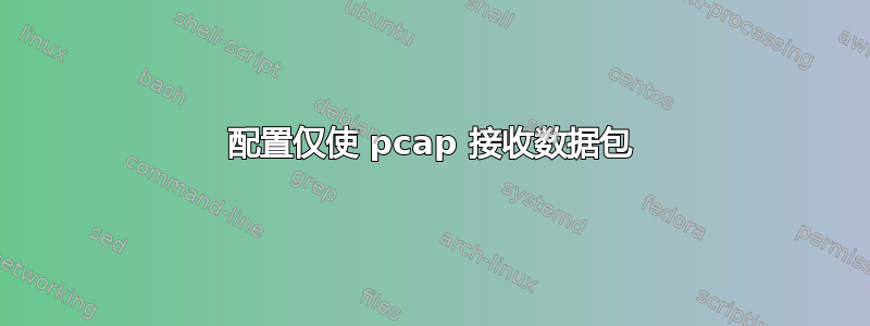 配置仅使 pcap 接收数据包