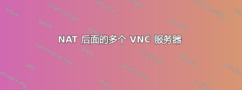 NAT 后面的多个 VNC 服务器