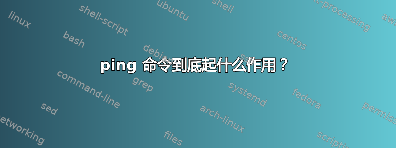 ping 命令到底起什么作用？