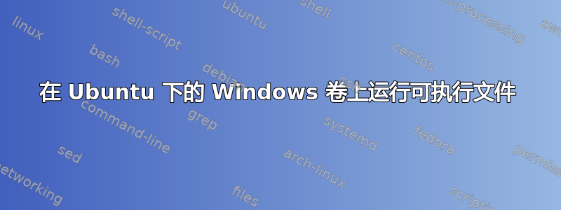 在 Ubuntu 下的 Windows 卷上运行可执行文件