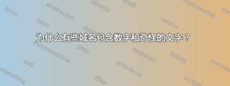 为什么有些域名包含数字和奇怪的文字？