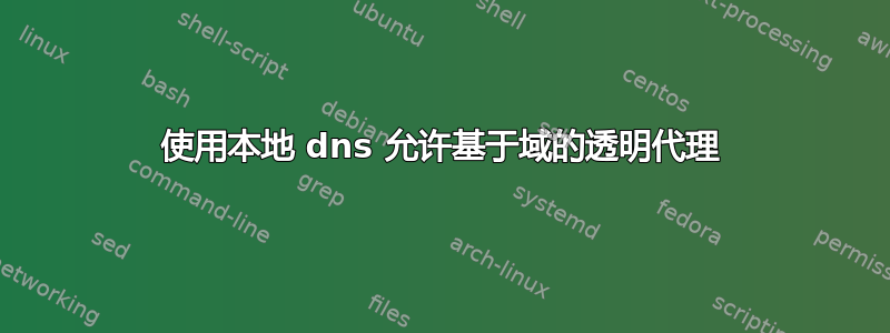 使用本地 dns 允许基于域的透明代理