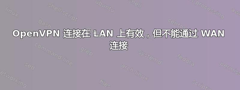 OpenVPN 连接在 LAN 上有效，但不能通过 WAN 连接