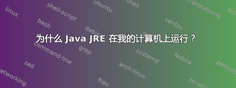 为什么 Java JRE 在我的计算机上运行？