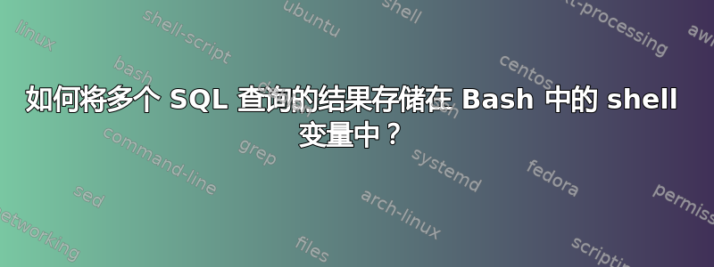 如何将多个 SQL 查询的结果存储在 Bash 中的 shell 变量中？