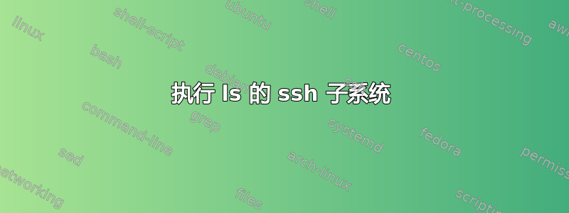 执行 ls 的 ssh 子系统