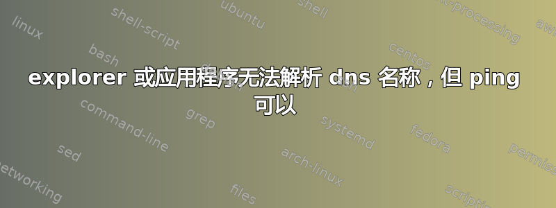 explorer 或应用程序无法解析 dns 名称，但 ping 可以