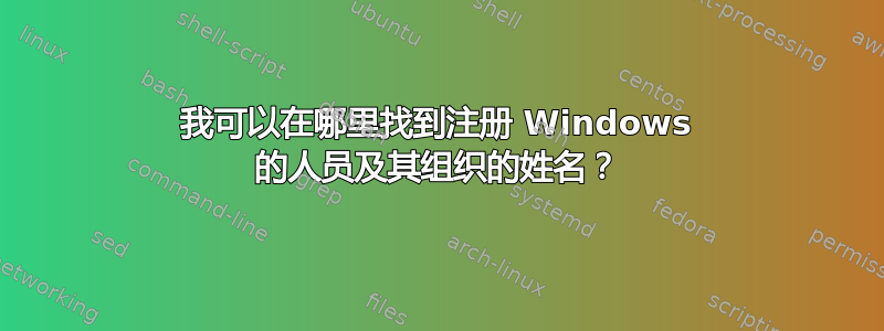 我可以在哪里找到注册 Windows 的人员及其组织的姓名？