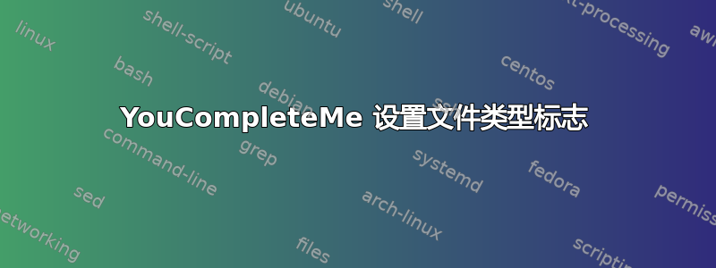 YouCompleteMe 设置文件类型标志