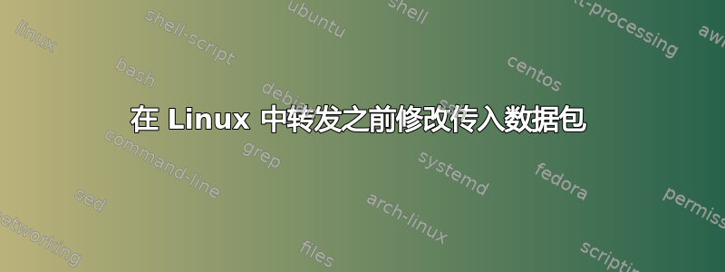 在 Linux 中转发之前修改传入数据包