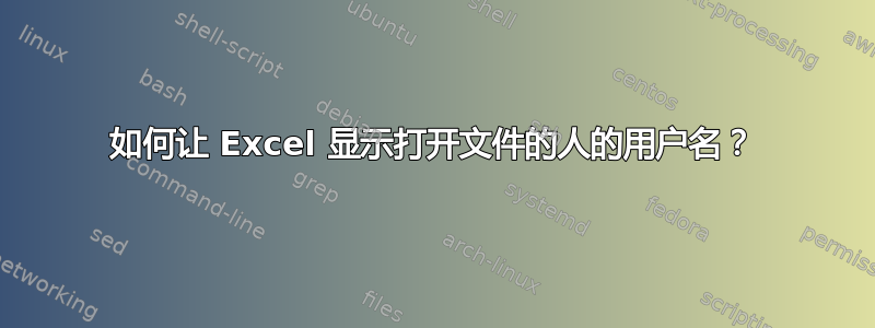 如何让 Excel 显示打开文件的人的用户名？