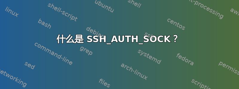 什么是 SSH_AUTH_SOCK？