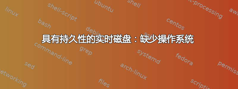 具有持久性的实时磁盘：缺少操作系统