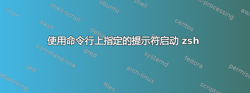 使用命令行上指定的提示符启动 zsh