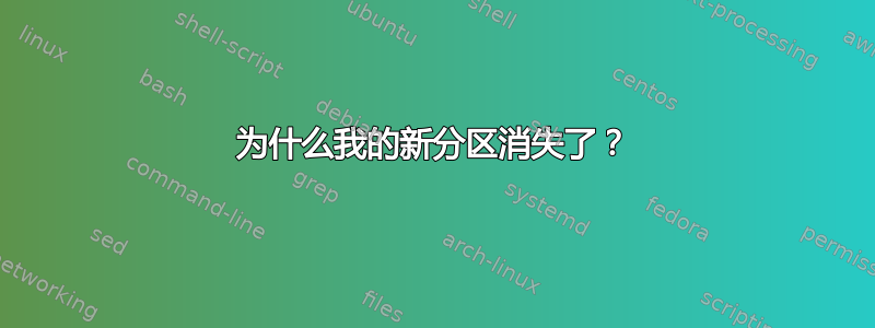 为什么我的新分区消失了？