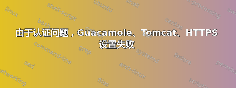 由于认证问题，Guacamole、Tomcat、HTTPS 设置失败