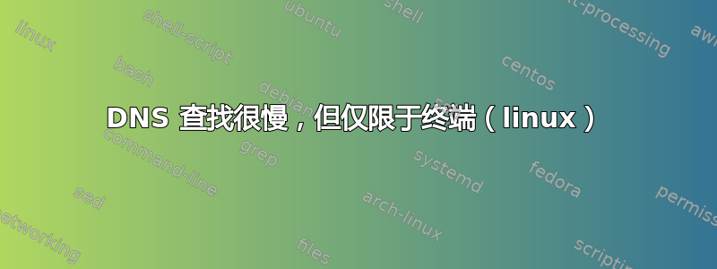 DNS 查找很慢，但仅限于终端（linux）