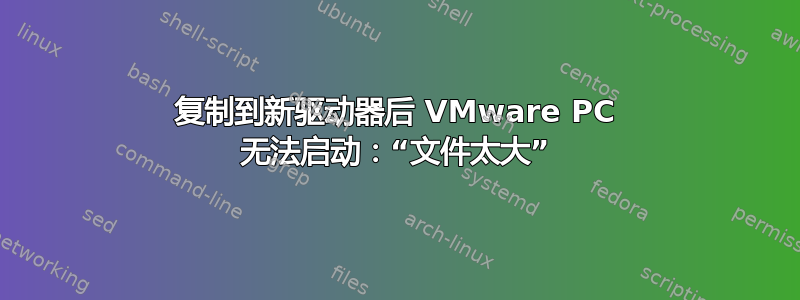 复制到新驱动器后 VMware PC 无法启动：“文件太大”