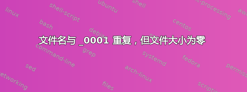 文件名与 _0001 重复，但文件大小为零