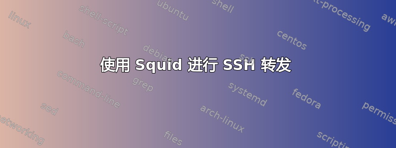 使用 Squid 进行 SSH 转发