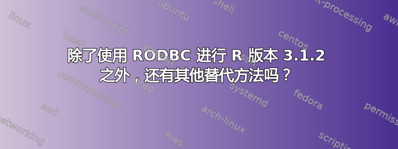 除了使用 RODBC 进行 R 版本 3.1.2 之外，还有其他替代方法吗？