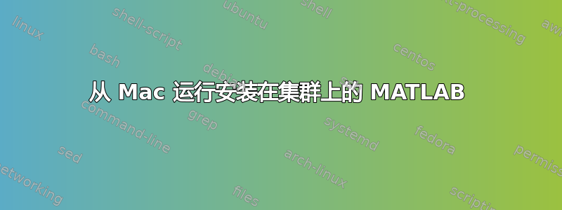 从 Mac 运行安装在集群上的 MATLAB