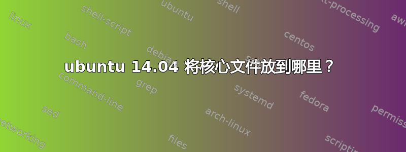 ubuntu 14.04 将核心文件放到哪里？