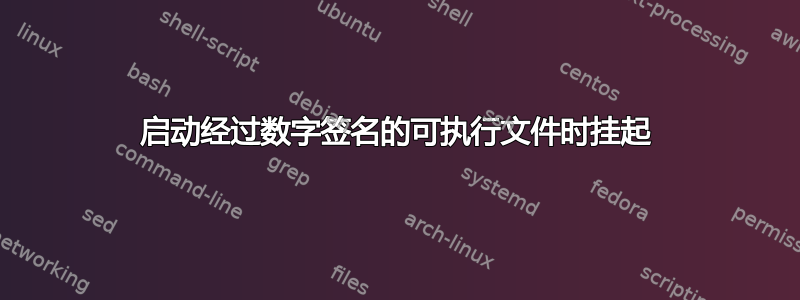 启动经过数字签名的可执行文件时挂起