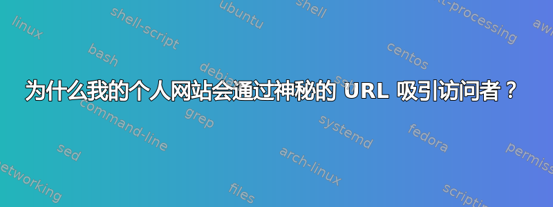 为什么我的个人网站会通过神秘的 URL 吸引访问者？