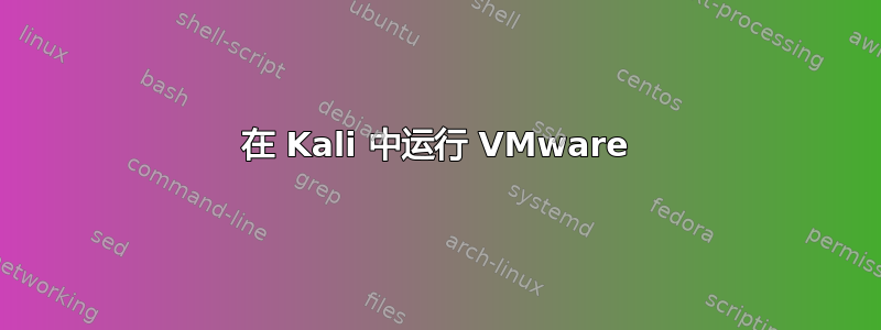 在 Kali 中运行 VMware