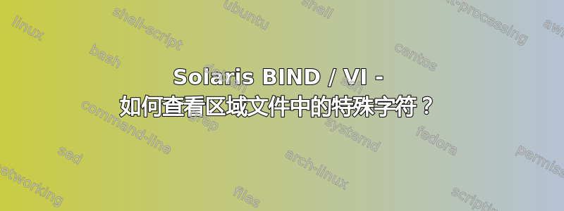 Solaris BIND / VI - 如何查看区域文件中的特殊字符？