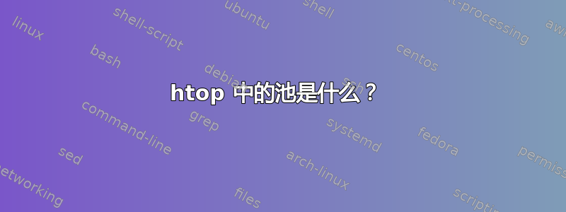 htop 中的池是什么？ 