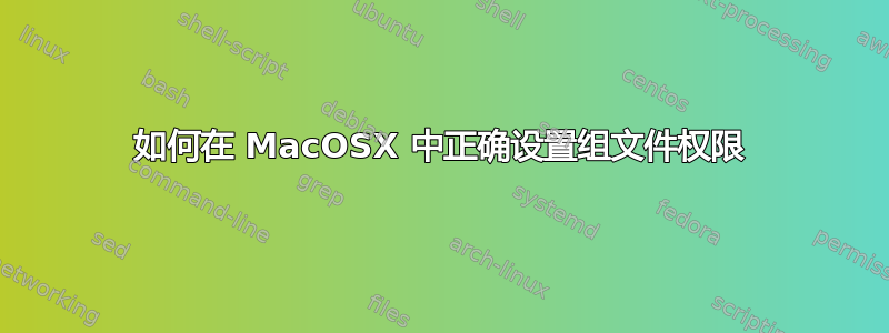 如何在 MacOSX 中正确设置组文件权限