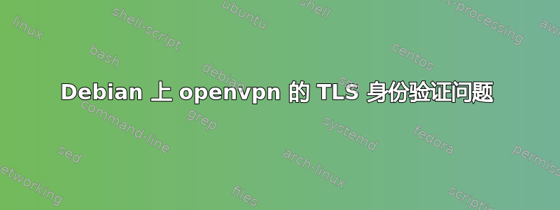 Debian 上 openvpn 的 TLS 身份验证问题