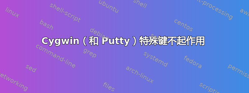 Cygwin（和 Putty）特殊键不起作用