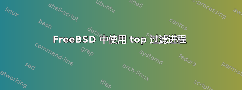 FreeBSD 中使用 top 过滤进程