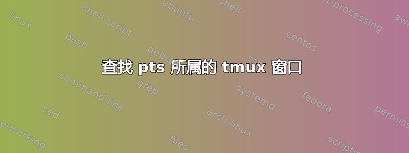 查找 pts 所属的 tmux 窗口