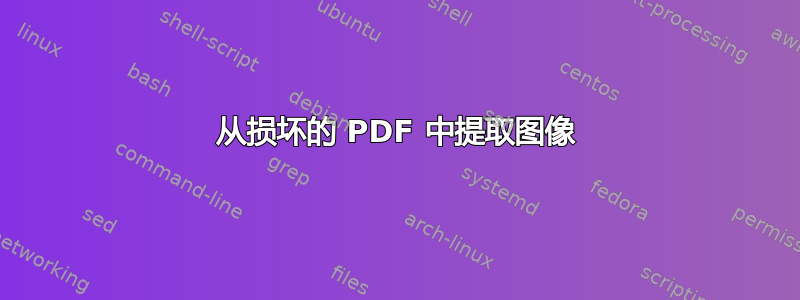 从损坏的 PDF 中提取图像