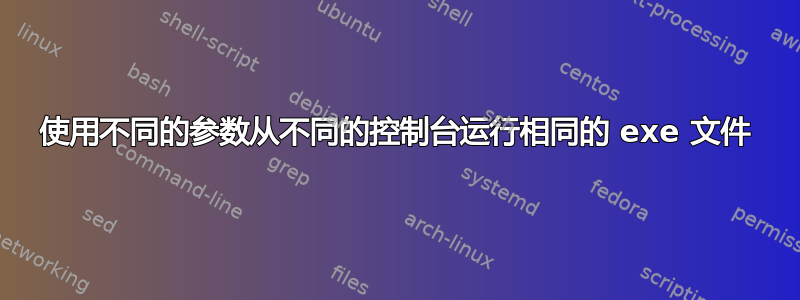 使用不同的参数从不同的控制台运行相同的 exe 文件