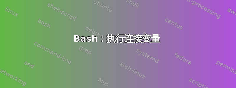 Bash：执行连接变量