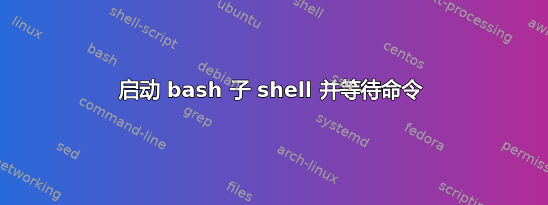 启动 bash 子 shell 并等待命令