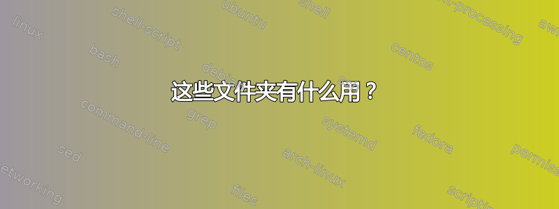 这些文件夹有什么用？