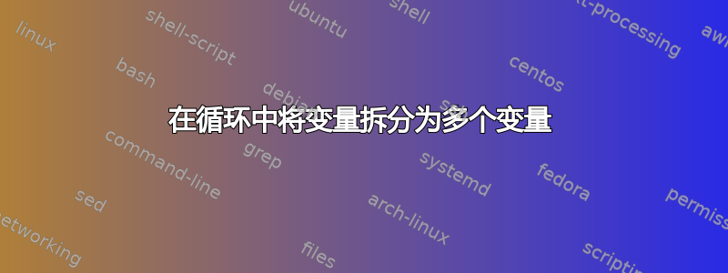 在循环中将变量拆分为多个变量