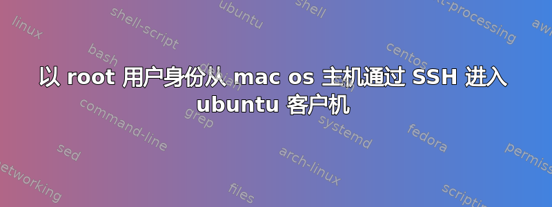 以 root 用户身份从 mac os 主机通过 SSH 进入 ubuntu 客户机