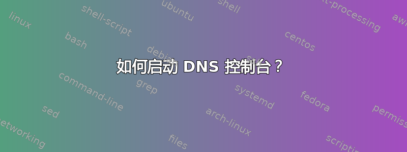 如何启动 DNS 控制台？